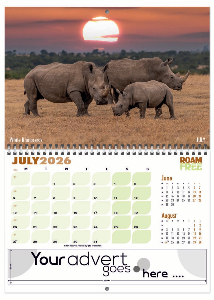 roam-free-deluxe-central-wiro-2026-7