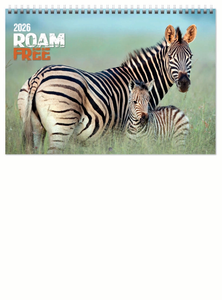 roam-free-deluxe-central-wiro-2026-cover