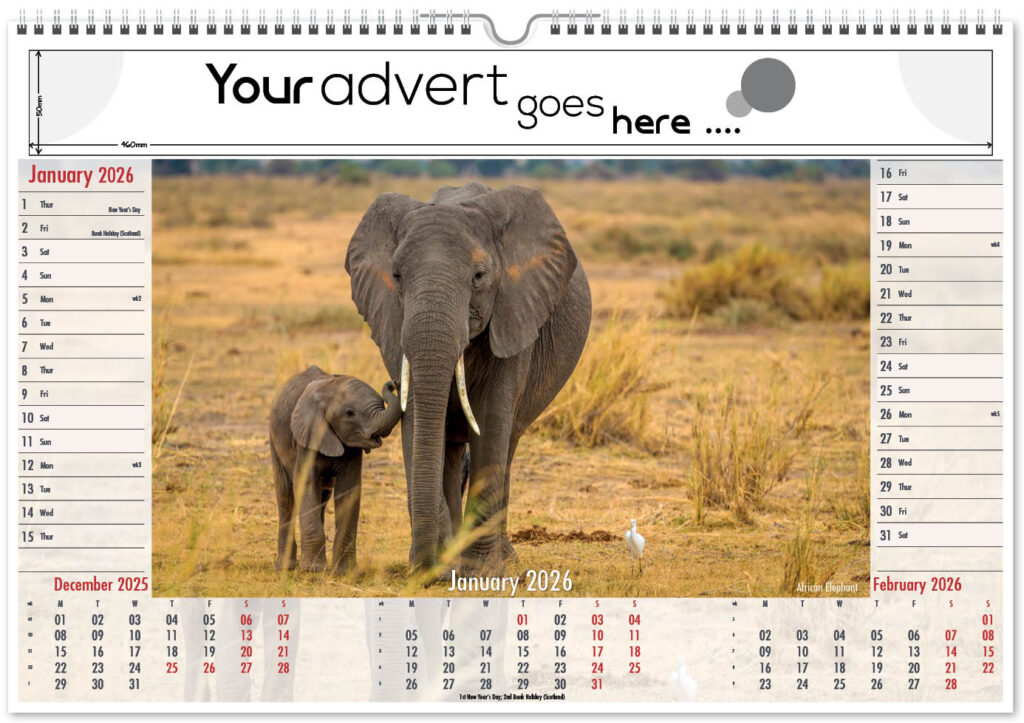 roam-free-landscape-2026-1