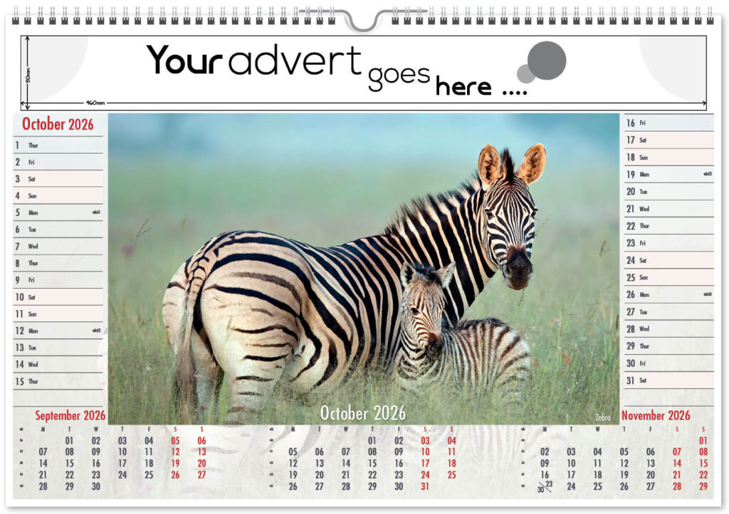 roam-free-landscape-2026-10