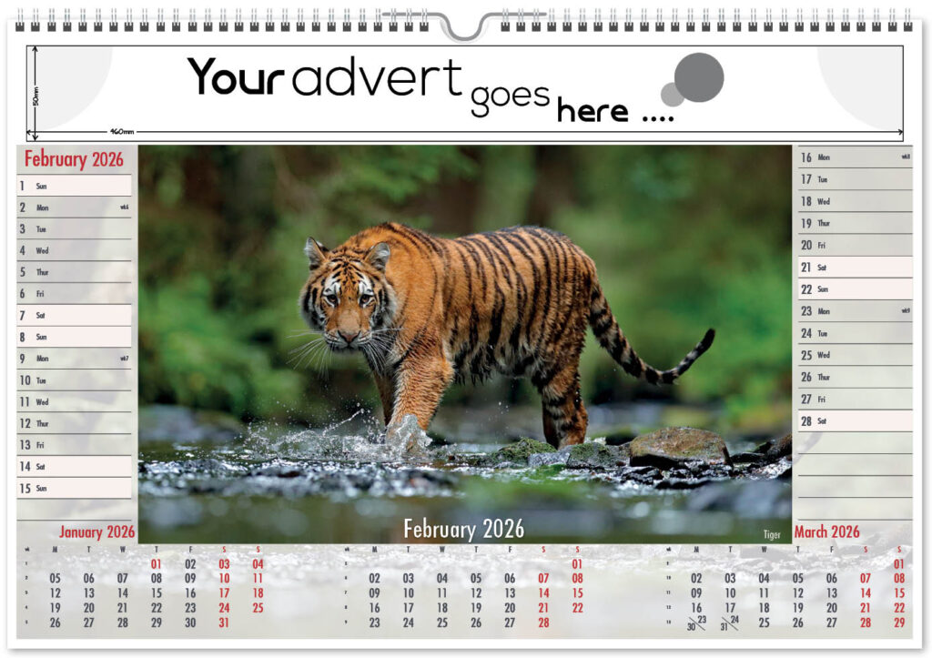 roam-free-landscape-2026-2