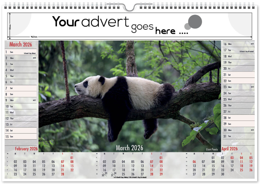 roam-free-landscape-2026-3