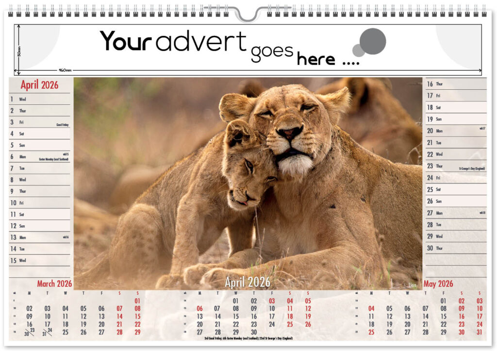 roam-free-landscape-2026-4