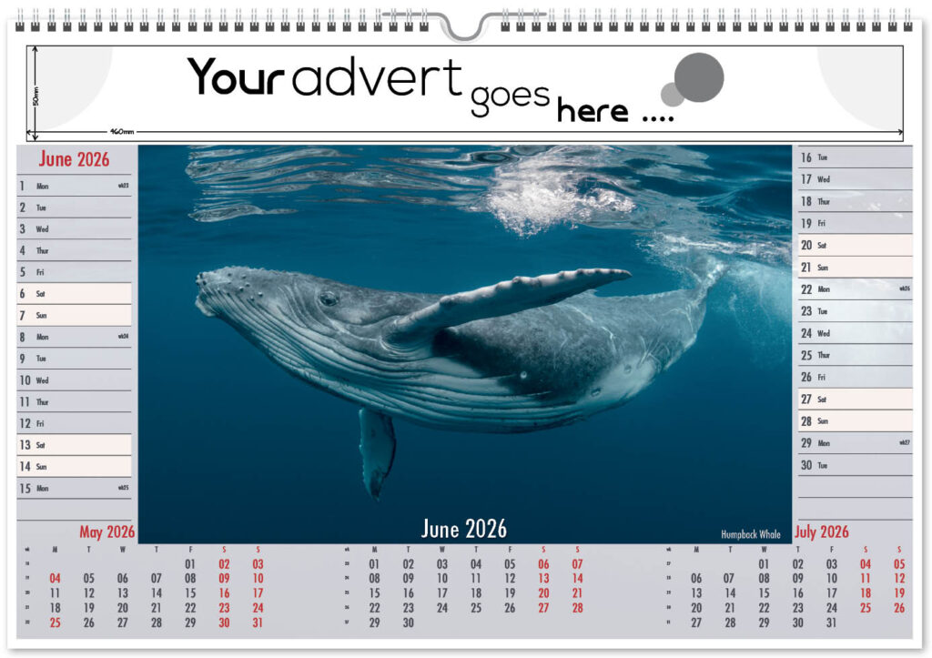 roam-free-landscape-2026-6