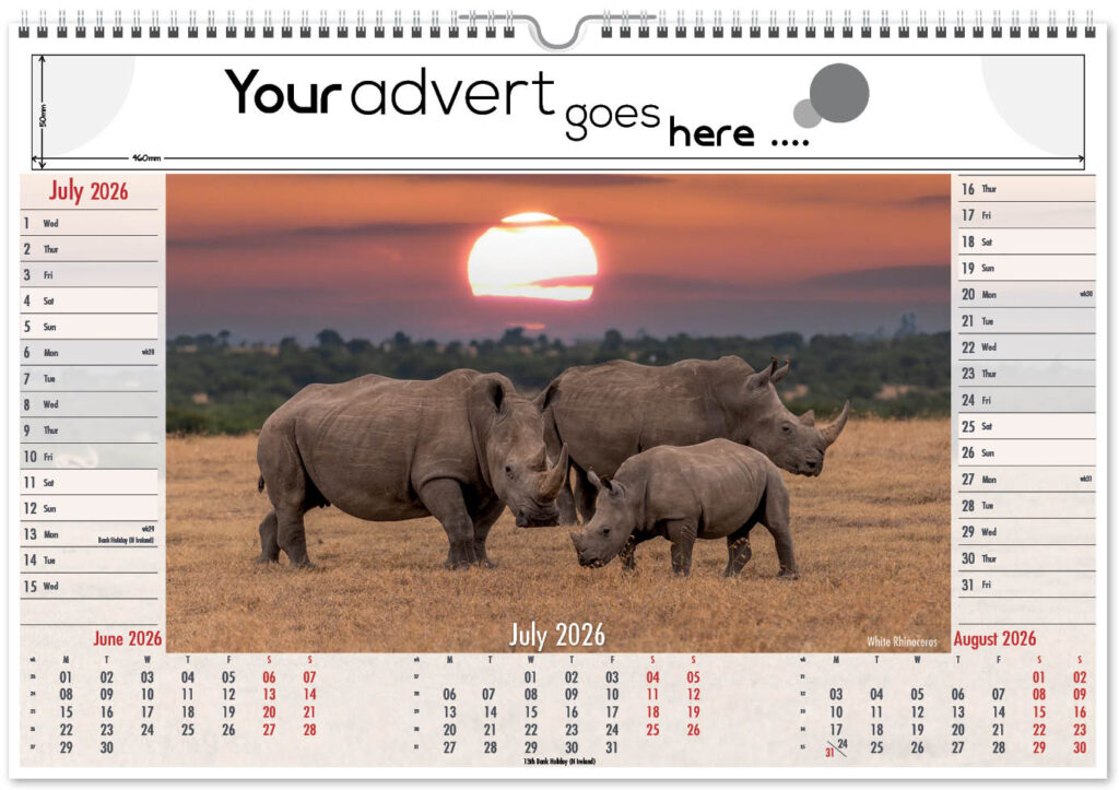 roam-free-landscape-2026-7