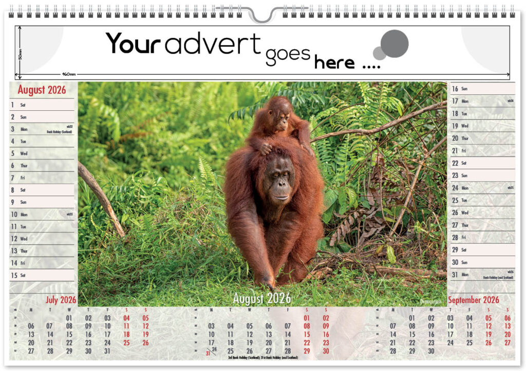 roam-free-landscape-2026-8