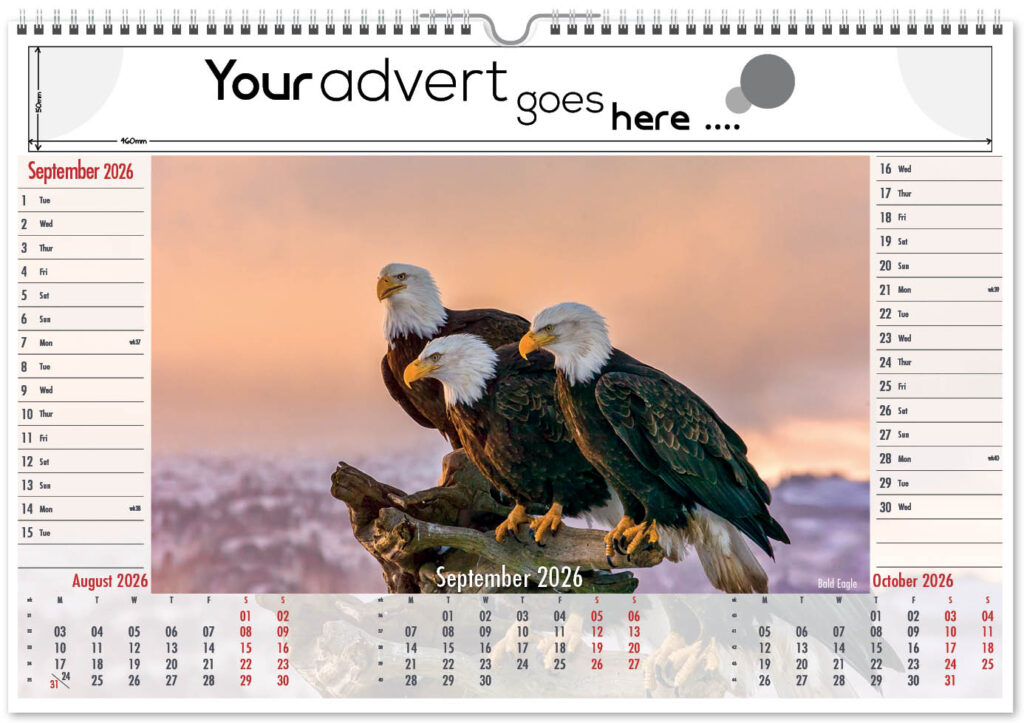 roam-free-landscape-2026-9