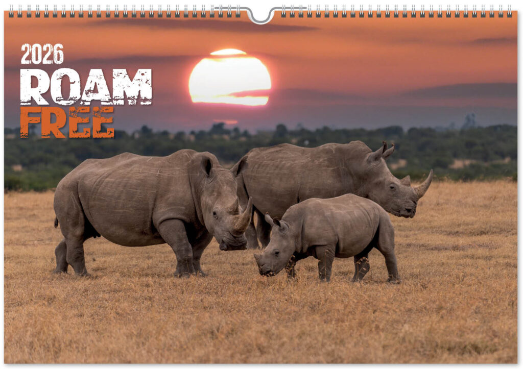 roam-free-landscape-2026-cover