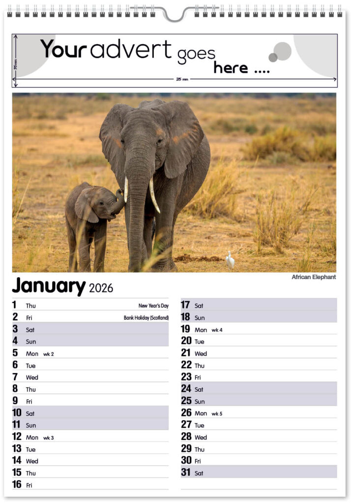 roam-free-mini-memo-13l-2026-1