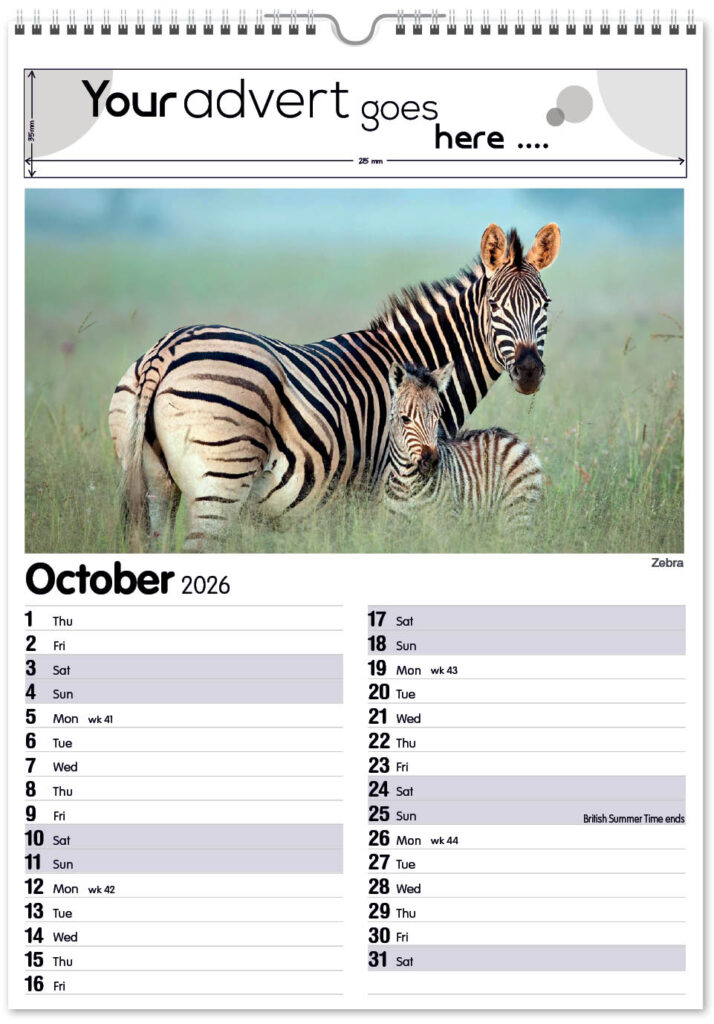 roam-free-mini-memo-13l-2026-10