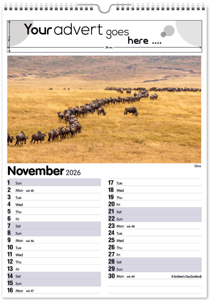 roam-free-mini-memo-13l-2026-11