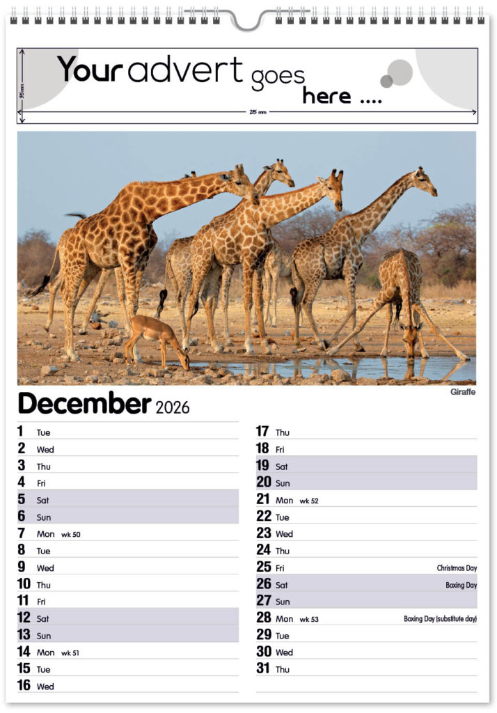 roam-free-mini-memo-13l-2026-12