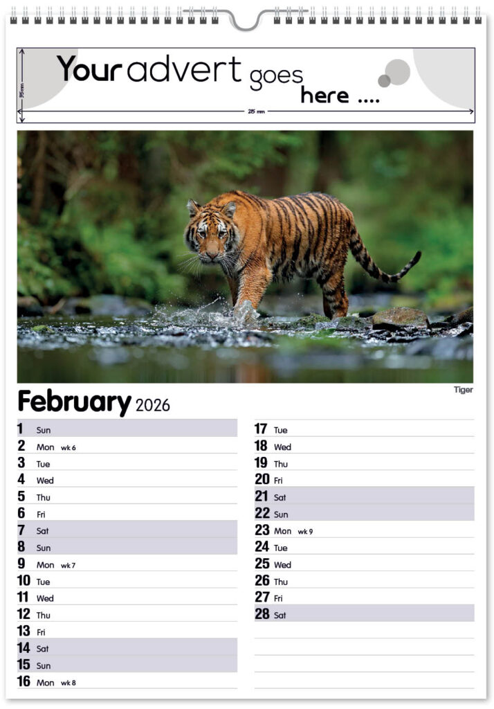 roam-free-mini-memo-13l-2026-2