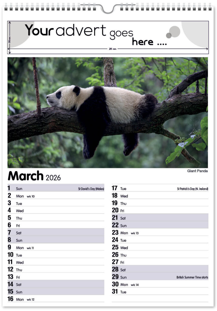 roam-free-mini-memo-13l-2026-3