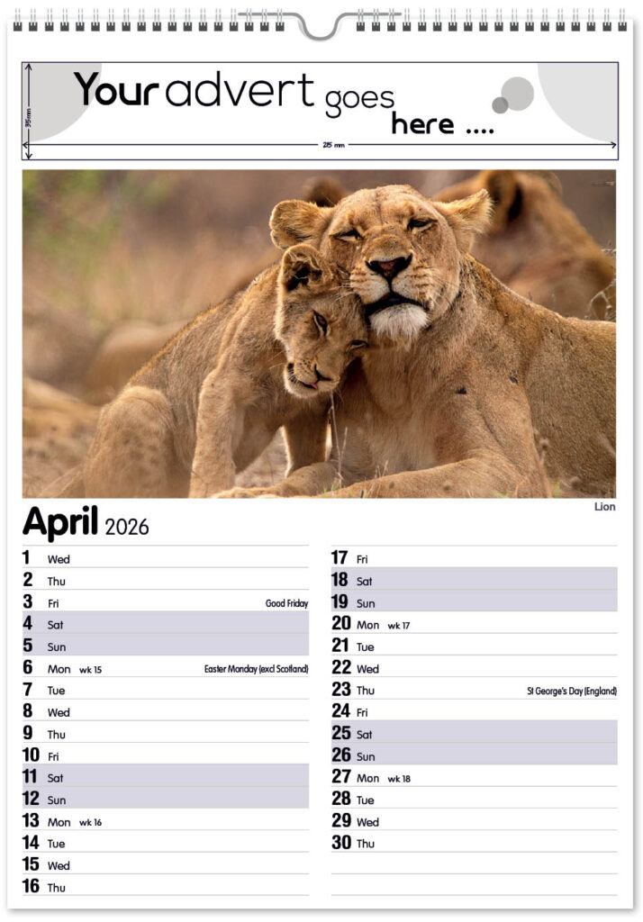 roam-free-mini-memo-13l-2026-4