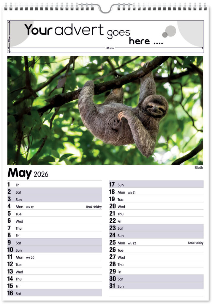 roam-free-mini-memo-13l-2026-5