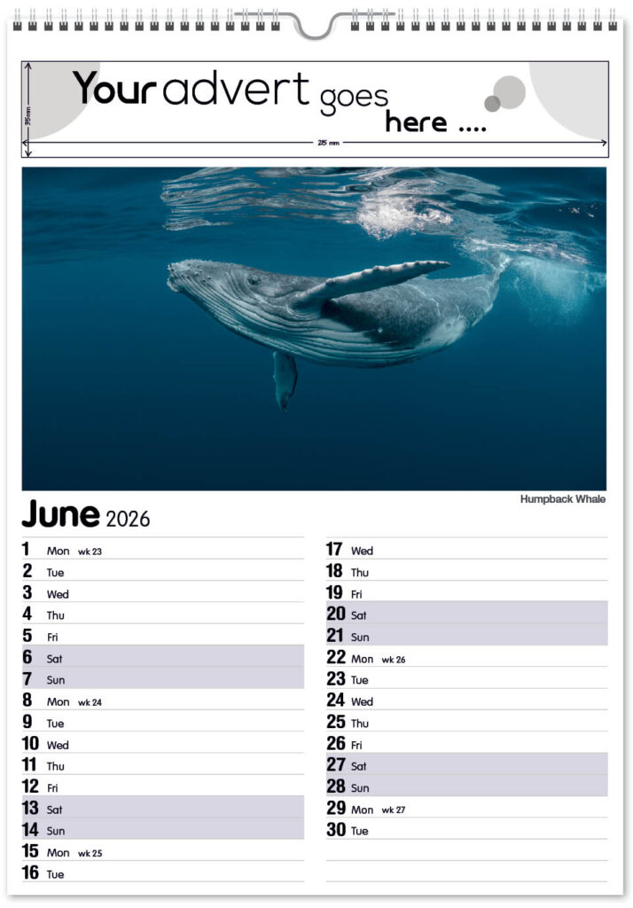 roam-free-mini-memo-13l-2026-6