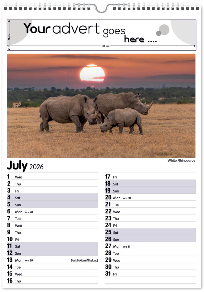 roam-free-mini-memo-13l-2026-7