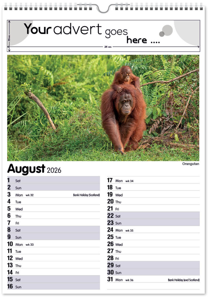 roam-free-mini-memo-13l-2026-8