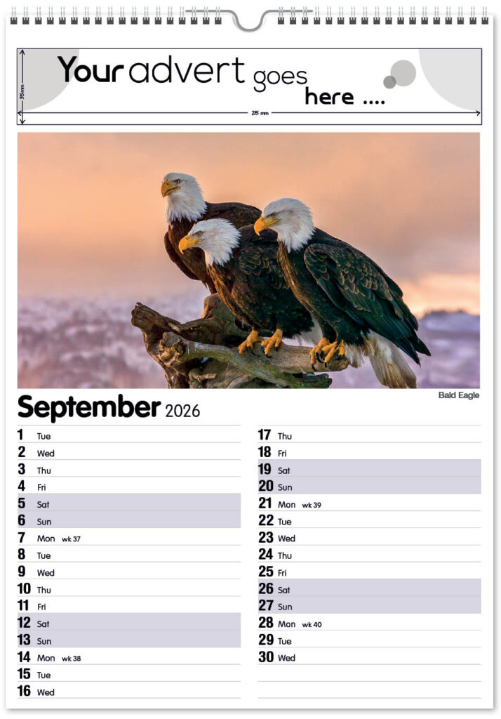 roam-free-mini-memo-13l-2026-9