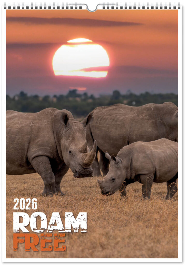 roam-free-mini-memo-13l-2026-cover