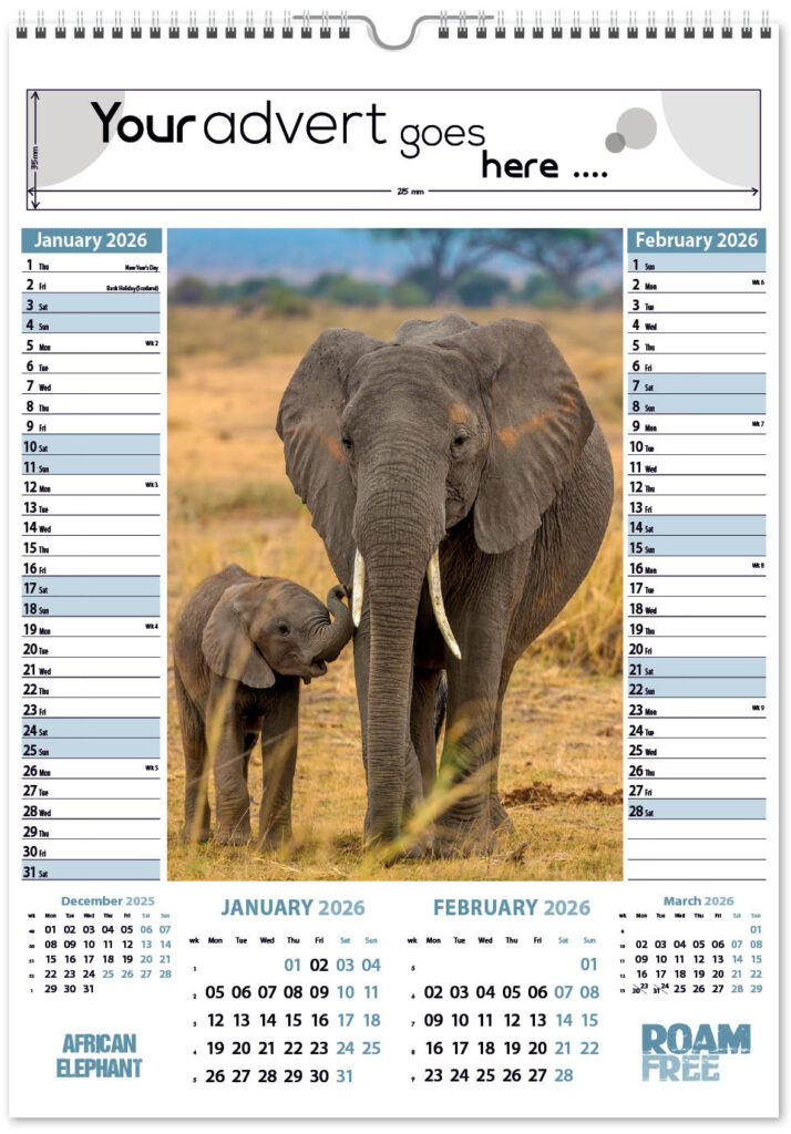 roam-free-mini-memo-6l-2026-1