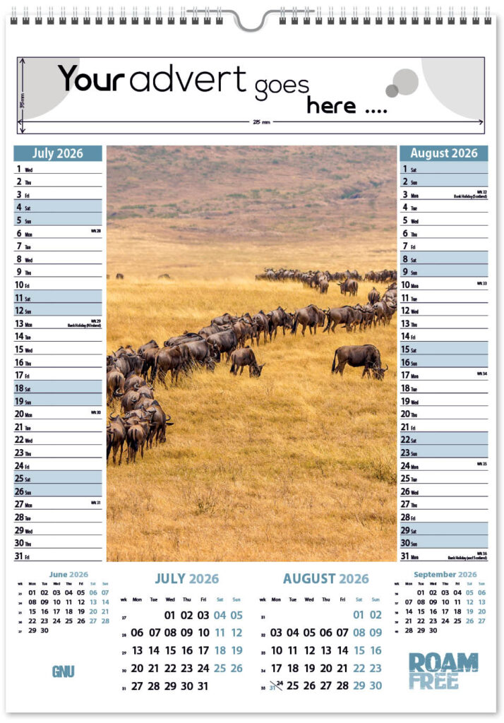 roam-free-mini-memo-6l-2026-4
