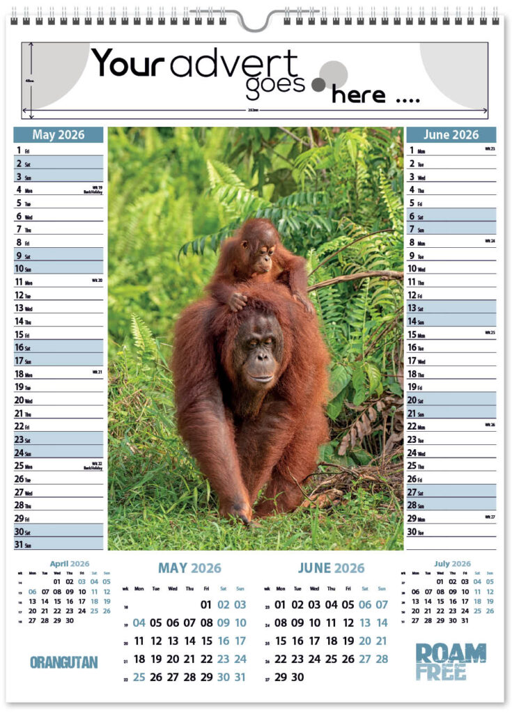 roam-free-pic-memo-2026-3
