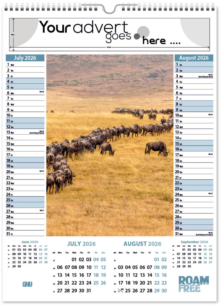 roam-free-pic-memo-2026-4