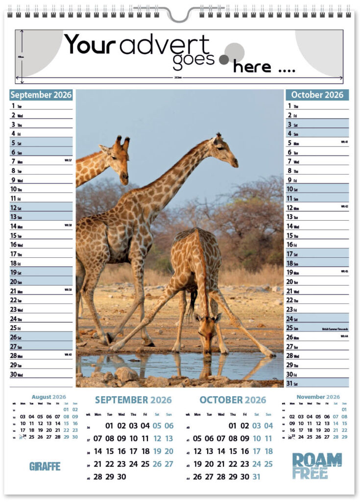 roam-free-pic-memo-2026-5