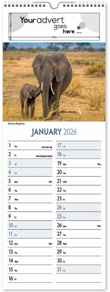 roam-free-slim-digi-2026-1