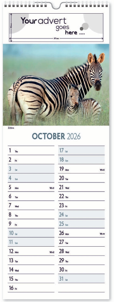 roam-free-slim-digi-2026-10