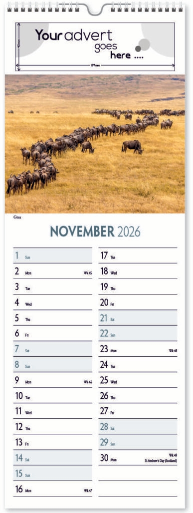 roam-free-slim-digi-2026-11