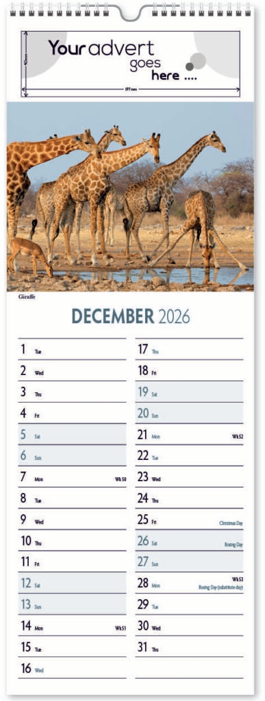 roam-free-slim-digi-2026-12