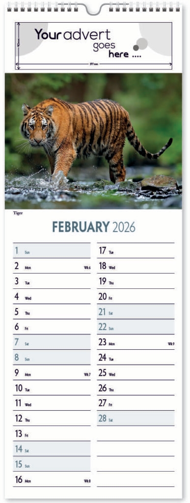 roam-free-slim-digi-2026-2