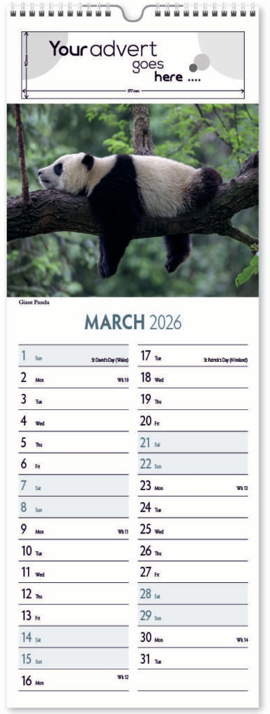 roam-free-slim-digi-2026-3