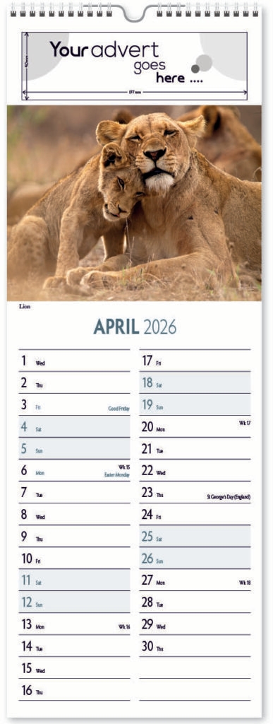 roam-free-slim-digi-2026-4