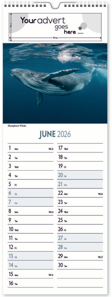 roam-free-slim-digi-2026-6