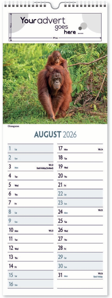 roam-free-slim-digi-2026-8