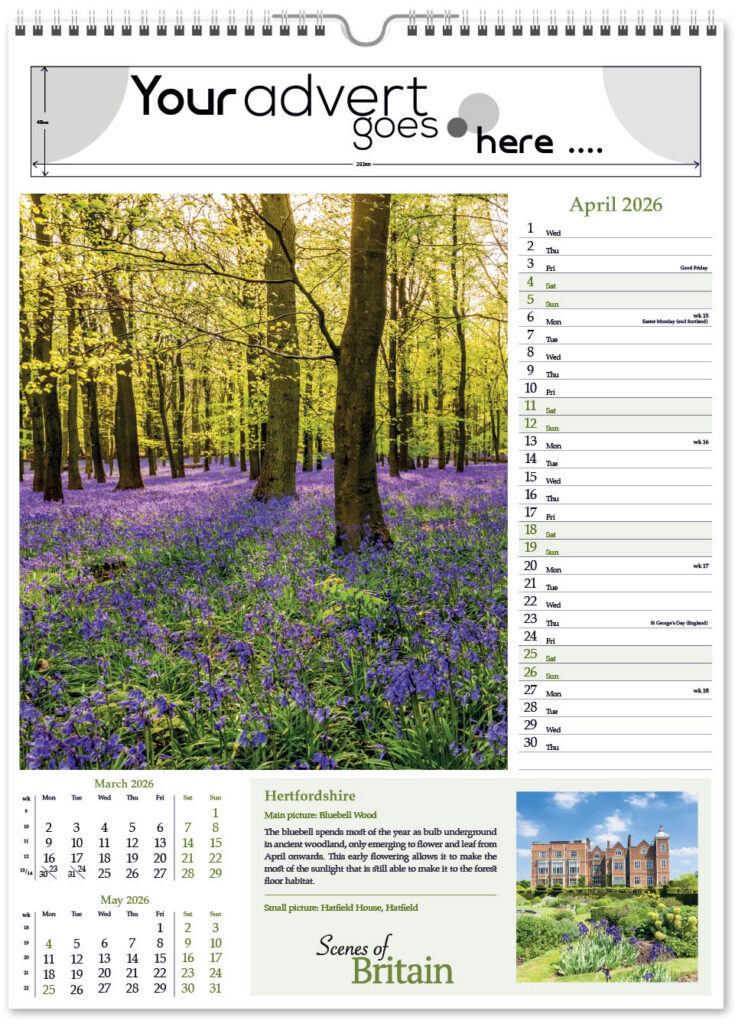scenes-of-britain-portrait-2026-4