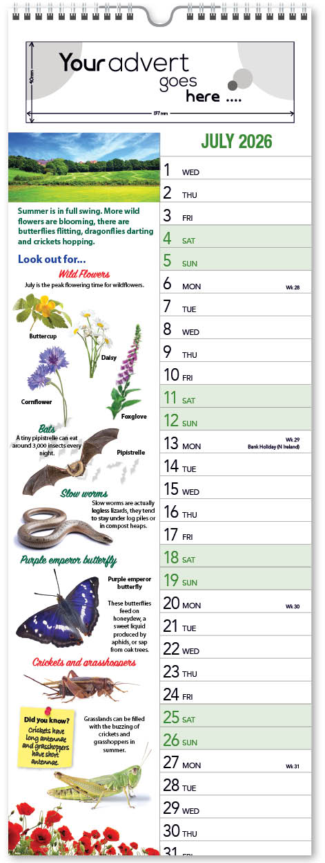 thumbnail interactive-video image 1 of Trends International 2024 Nature's Bouquet Wall Calendar & Magnetic 1 of 9
