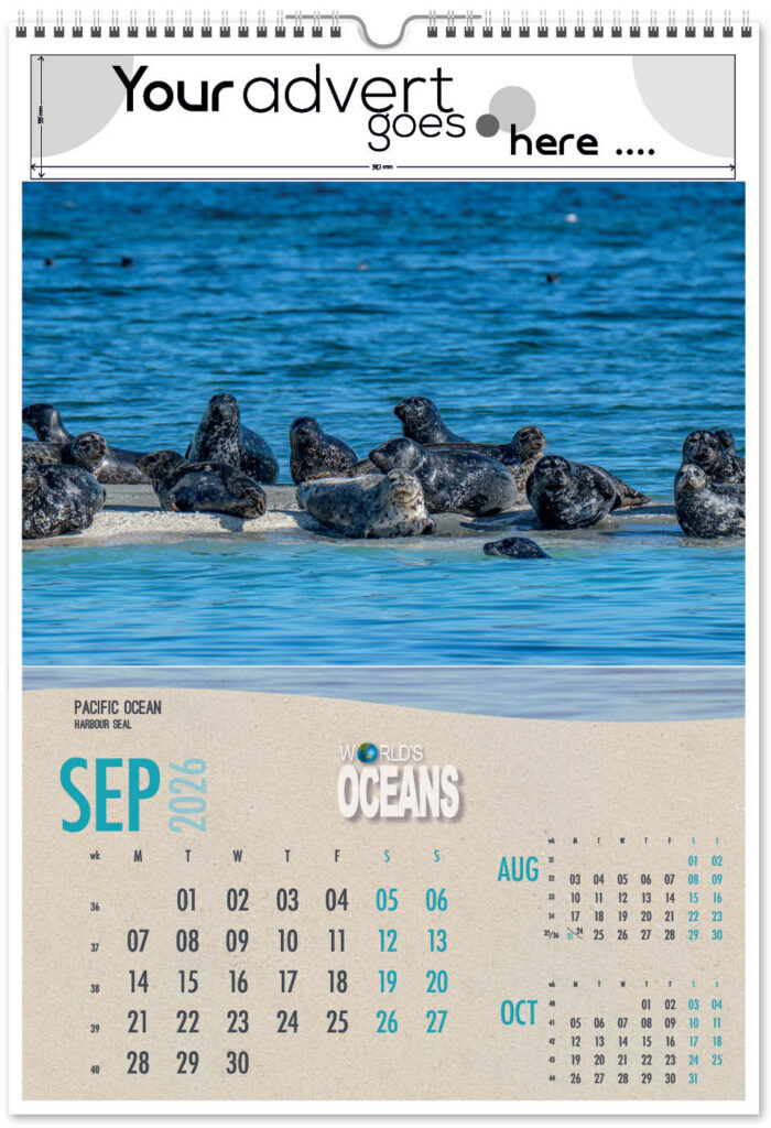 worlds-oceans-2026-9