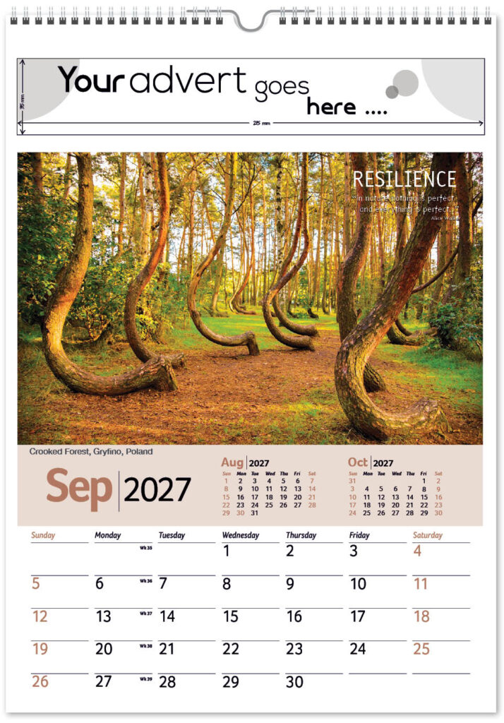 inspire-mini-memo-13l-alternative-2027-9