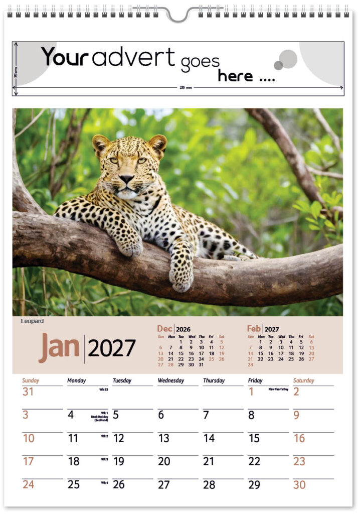 roam-free-mini-memo-13l-alternative-2027-1