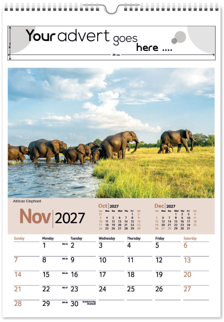 roam-free-mini-memo-13l-alternative-2027-11