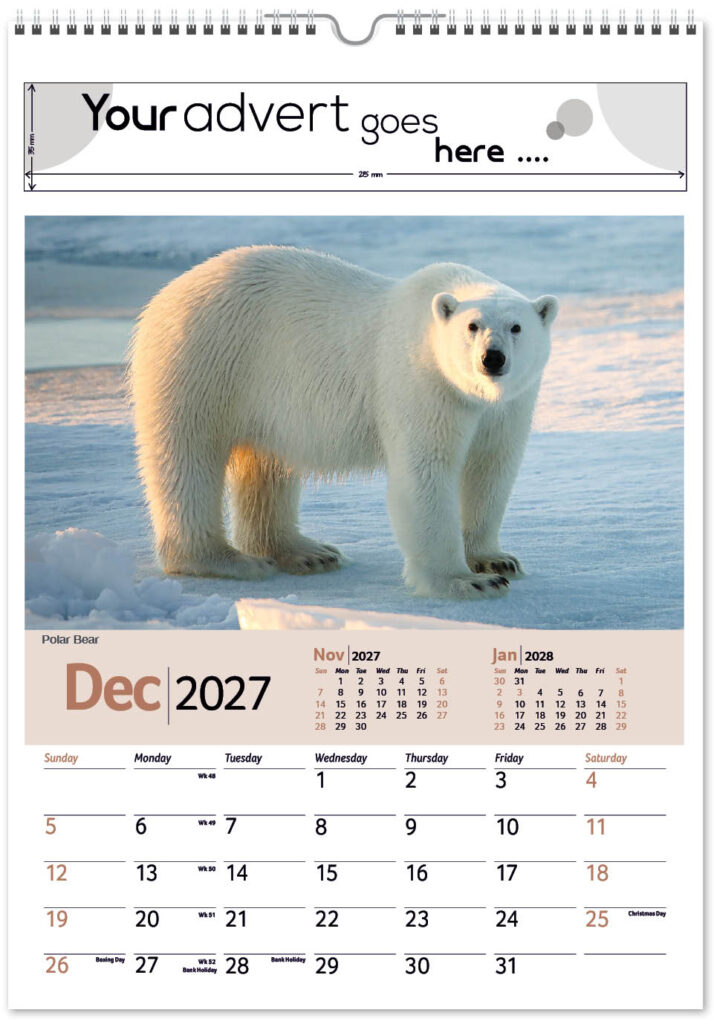 roam-free-mini-memo-13l-alternative-2027-12