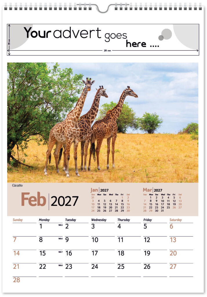 roam-free-mini-memo-13l-alternative-2027-2