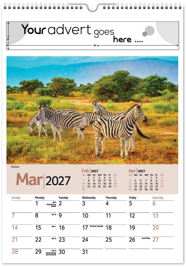 roam-free-mini-memo-13l-alternative-2027-3