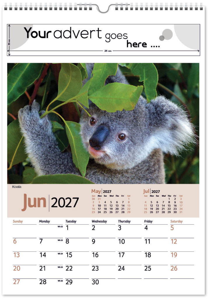 roam-free-mini-memo-13l-alternative-2027-6