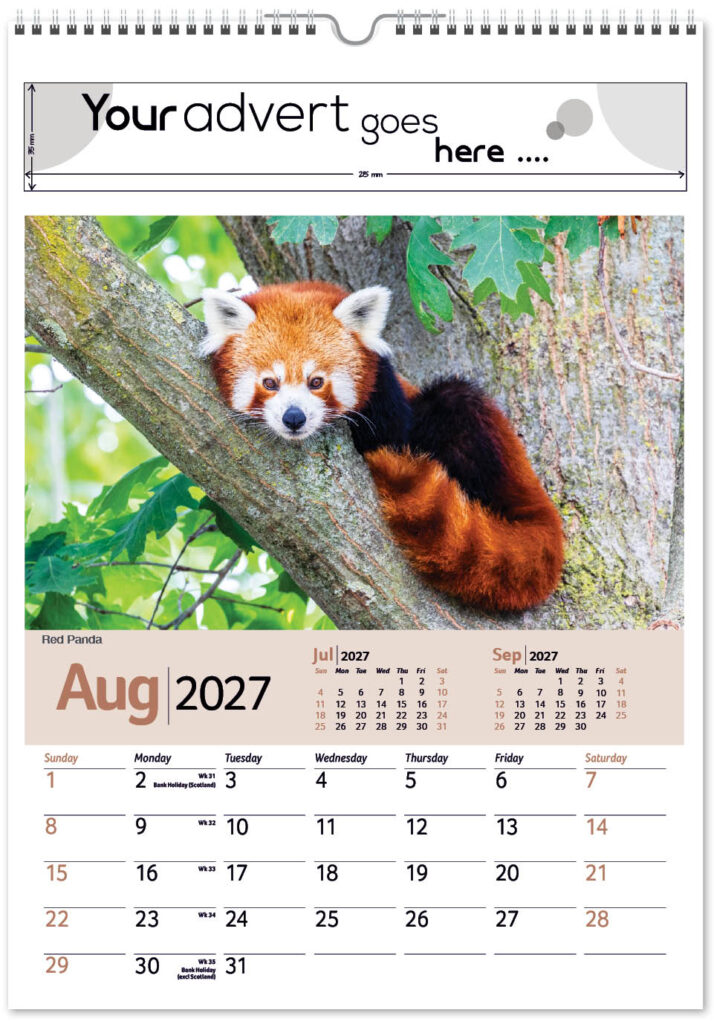 roam-free-mini-memo-13l-alternative-2027-8